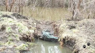 Паводок Сакмара Кураганка Кувандык 17 04 2024