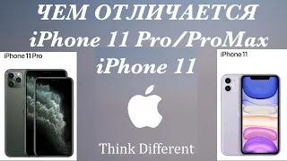 8 главных отличий iPhone 11 от iPhone 11 Pro и Pro Max