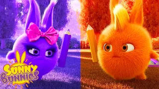 SUNNY BUNNIES - Purple v Orange: Dawn of Colours | Season 7 | Cartoons for Children