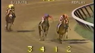 Affirmed vs. Alydar - 1978 Travers Stakes (Final Meeting)