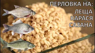 Как приготовить перловку на трофейного леща, карася, сазана? Уловистая перловка для рыбалки