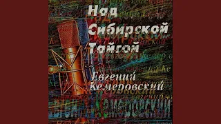 Над сибирской тайгой