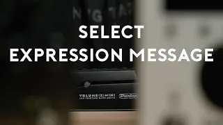 Select Expression Messages per Preset on the Fly - Morningstar MIDI Controller