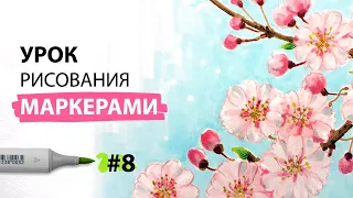 Как нарисовать цветущую сакуру? / Урок по рисованию маркерами для новичков #8