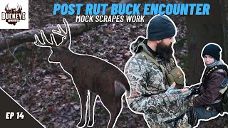 Big Buck Post-Rut Encounter - 2021 Ohio Archery Season