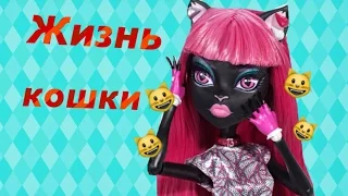 Stop Motion "ЖИЗНЬ КОШКИ" | Monster High | Монстер Хай |