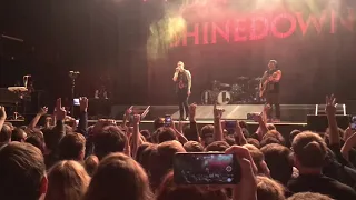 Shinedown 2