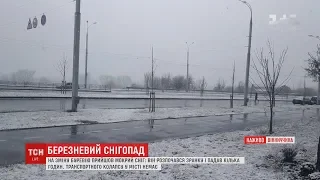 Вінницю після буревію засипало мокрим снігом