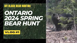 Ontario 2024 Bear Hunting | Vlog 1
