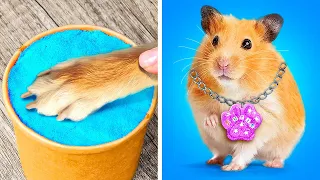 No pierdas nunca un hámster 🐹😨 Los mejores trucos para dueños de perros y gatos