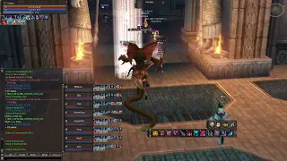 Lineage 2 - Elmorelab x1 C3 - Spot Fights!