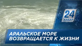 Аральское море возвращается к жизни