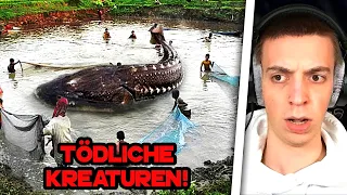 ClashGames REAGIERT auf die TÖDLICHSTEN KREATUREN im AMAZONAS! 😰 | ClashGames Reaktion