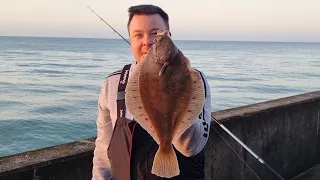 Brighton marina East Wall plaice fishing - Sea fishing uk