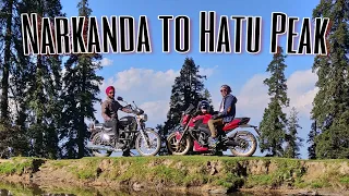 Ride on Dominar from Narkanda to Hatu peak. Very steep and narrow road