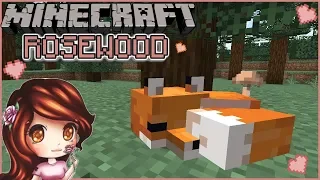 Foxes!! 🦊 🌹| Minecraft 1.14 Rosewood | Day 64