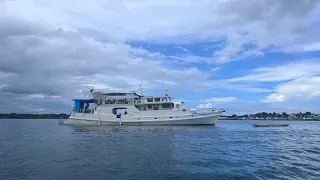 Diving at Tubbataha Reef