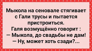 Галя До Свадьбы Не Дает! Сборник Свежих Анекдотов! Юмор!