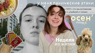 грустная новость || Живу одна, переезд, экзамены || тихий влог (моя первая паническая атака)