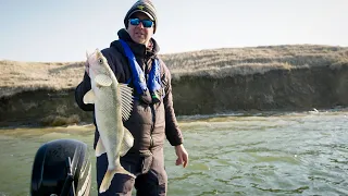 Aggressive Prairie Walleyes On Largo Shads - In Depth Outdoors TV S16 E25