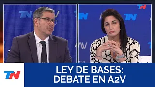 LEY BASES: DEBATE EN A2V