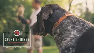 Sport of Kings // Official Trailer // Gun Dog Confidential