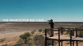 The Kgalagadi - The search for big cats.