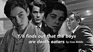 Pov: Y/n finds out that the boys are death eaters WHOLE SERIES