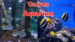 Tour Around In Amazing  Cairns Aquarium, Queensland Australia  2023 | Cairns Aquarium