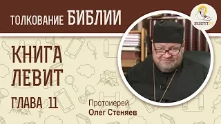 Книга Левит. Глава 11. Протоиерей Олег Стеняев. Библия. Ветхий Завет