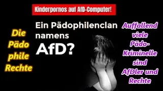 Ist die AfD eine Pädo-Partei?