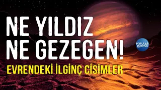 Ne Gezegen Ne Yıldız! Peki Ama Nedir Bunlar? | Popular Science Türkiye