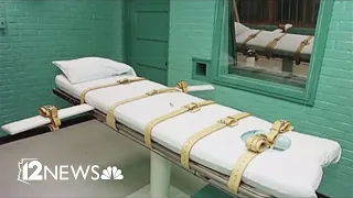 Arizona executions halted during policy preview