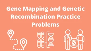 Gene Mapping and Recombination Frequency Practice Problems