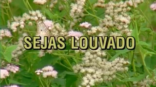 7 - Sejas Louvado - HD