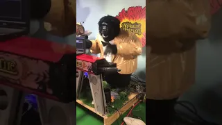 The Rock afire Explosion #shorts #shortfeed #animatronics