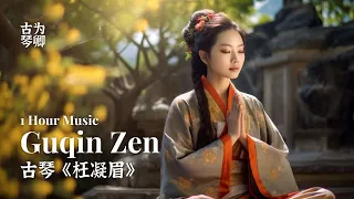 古琴《枉凝眉》1 Hour Guqin Zen Music - Dream of the Red Mansions, Birds Singing Meditation Journey