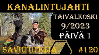 Kanalintujahtia Taivalkoskella 11.9.2023-Grouse and Capercaillie hunting in Finland