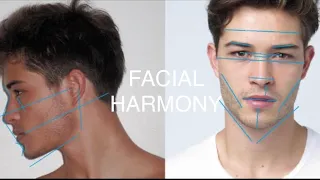 |Tips and tricks of how to achieve facial harmony|