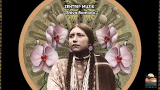 Zentrip Muzik - Shiva Bamboo [Folktronica]