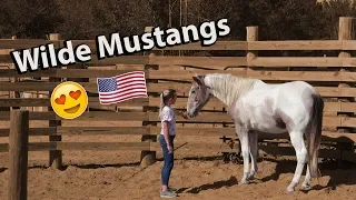 Meine Reise zu den Mustangs | Mustang Makeover | Marina und die Ponys