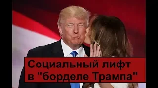 Социальные лифты и "бордель Трампа"