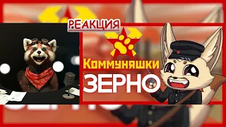 КОММУНЯШКИ: Зерно  | реакция Red Panda