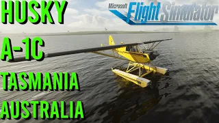 Aviat Husky A-1C Floats Microsoft Flight Simulator Tasmania Australia Campbell Town to Valley Field