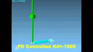 Simulation of a rotary inverted pendulum