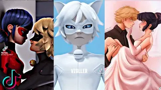 Miraculous ladybug tiktoks that made Adrien have a childhood dream.