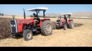 Massey Ferguson 266 Gold Zorlu Nadas Yeri Sürmünden..İyi Seyirler