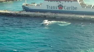 Disney Cruise Ship Abandons Running Guy in Cozumel