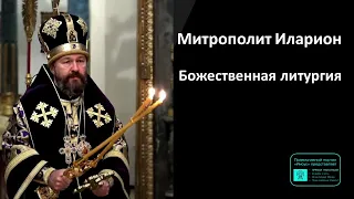 Митрополит Иларион | Прямая трансляция | Божественная литургия | 14.04.2024