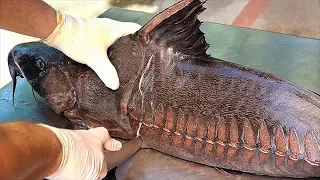 Thai Food - GIANT RIPSAW CATFISH Bangkok Seafood Thailand